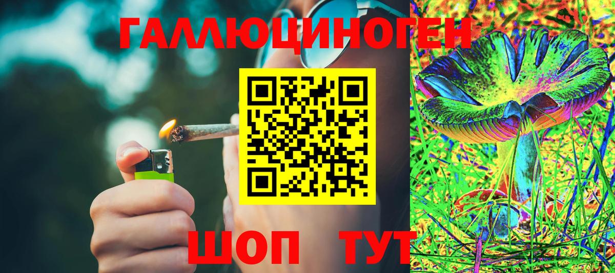 Псилоцибиновые грибы мухоморы Петрозаводск
