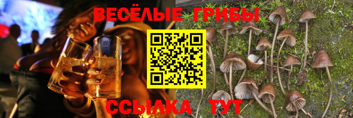 Петрозаводск  Псилоцибиновые грибы GOLDEN TEACHER  Вход с VPN  Галлюциногенные грибы MAGIC MUSHROOMS 